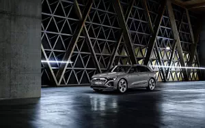 Audi Q8 55 e-tron quattro car wallpapers