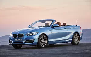 BMW 230i Convertible Luxury Line car wallpapers