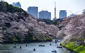 Tokyo wallpapers