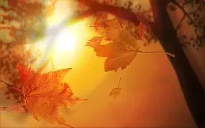 Autumn wide wallpapers and HD wallpapers