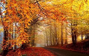 Autumn wide wallpapers and HD wallpapers