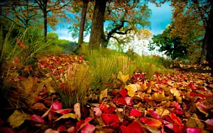 Autumn wide wallpapers and HD wallpapers