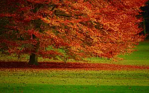 Autumn wide wallpapers and HD wallpapers