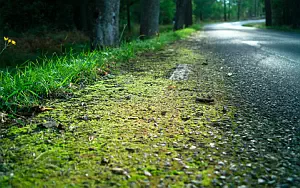 Road wide wallpapers and HD wallpapers