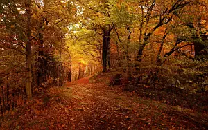 Autumn wallpapers