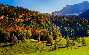 Autumn wallpapers