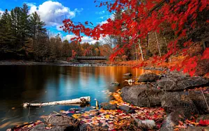 Autumn wallpapers