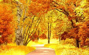 Autumn wallpapers