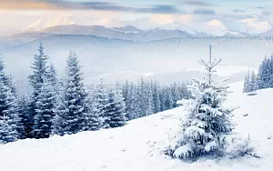 Winter wallpapers