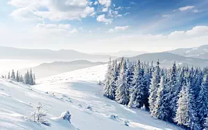 Winter wallpapers