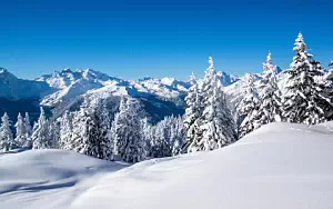 Winter wallpapers