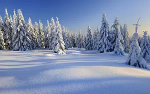 Winter wallpapers