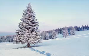 Winter wallpapers