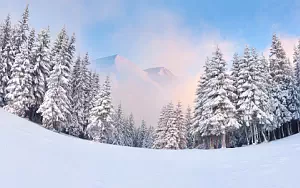 Winter wallpapers