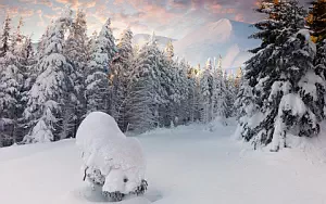 Winter wallpapers