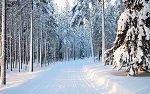 Winter wallpapers
