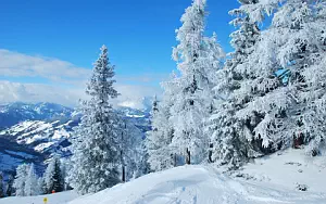 Winter wallpapers