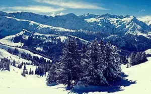 Winter wallpapers
