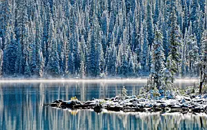 Winter wallpapers