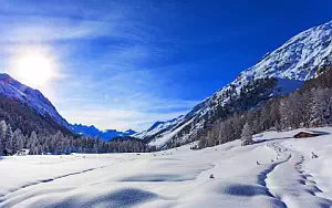 Winter wallpapers
