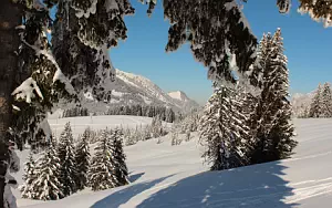Winter wallpapers