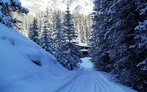 Winter wallpapers