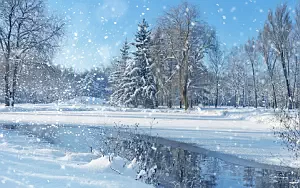 Winter wallpapers