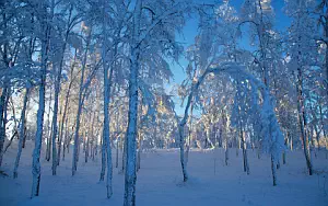 Winter wallpapers