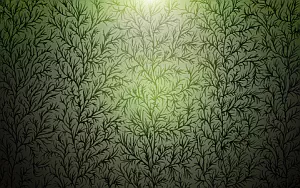 Background wide wallpapers and HD wallpapers