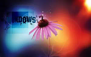 Windows 7 wide wallpapers and HD wallpapers