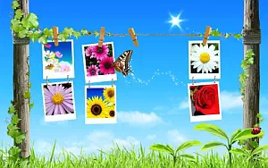 Digital Desktop wide wallpapers and HD wallpapers