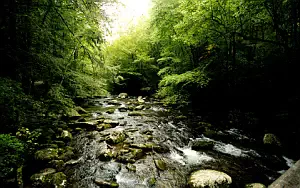 River wide wallpapers and HD wallpapers