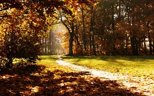 Autumn wallpapers