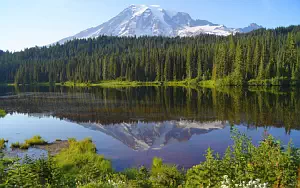 Lake wallpapers