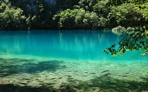 Lake wallpapers