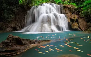 Waterfall wallpapers