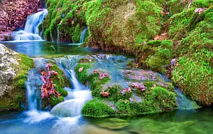Waterfall wallpapers