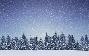 Winter wallpapers