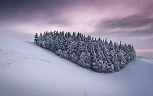 Winter wallpapers