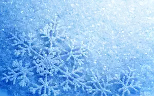 Winter wallpapers