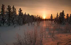 Winter wallpapers